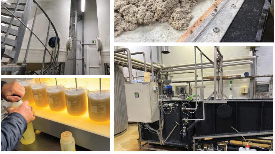 Solving DAT-Schaub’s problem of ‘high fat content wastewater