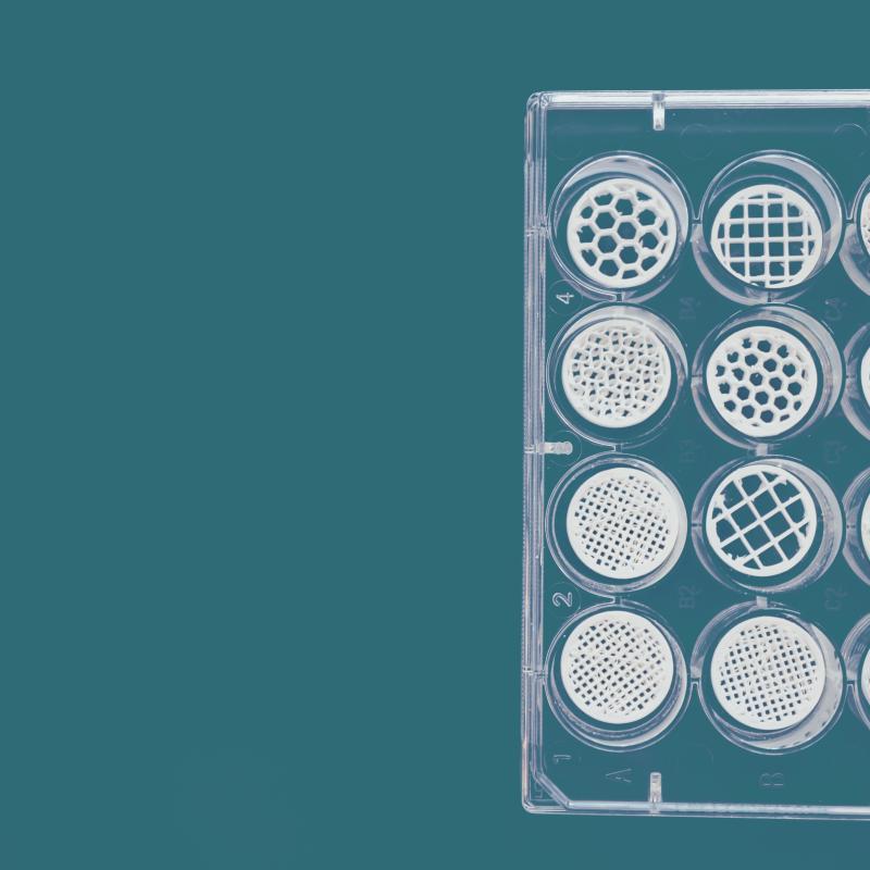 Ultra Low Attachment Cell Tissue Culture Plates